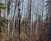 Range Road 222, Rural Northern Lights, County of, Alberta T0H 2M0, 3 Bedrooms Bedrooms, ,2 BathroomsBathrooms,Residential,For Sale,222,A2265457