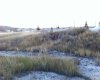 NW-02-029-20W4M NW Other, Drumheller, Alberta T0J 0Y0, ,Land,For Sale,NW,A2262832