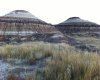 NW-02-029-20W4M NW Other, Drumheller, Alberta T0J 0Y0, ,Land,For Sale,NW,A2262832