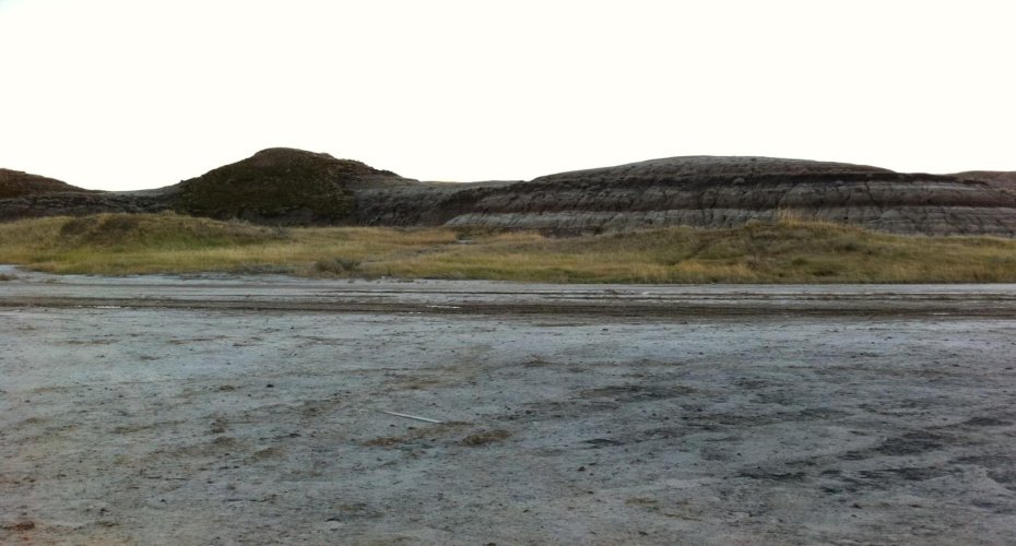 NW-02-029-20W4M NW Other, Drumheller, Alberta T0J 0Y0, ,Land,For Sale,NW,A2262832
