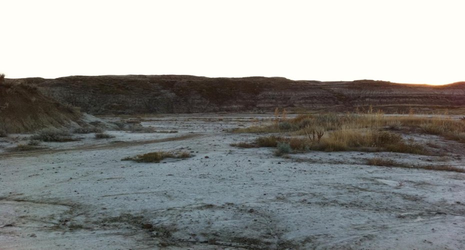NW-02-029-20W4M NW Other, Drumheller, Alberta T0J 0Y0, ,Land,For Sale,NW,A2262832