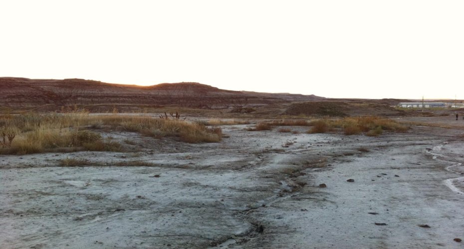 NW-02-029-20W4M NW Other, Drumheller, Alberta T0J 0Y0, ,Land,For Sale,NW,A2262832