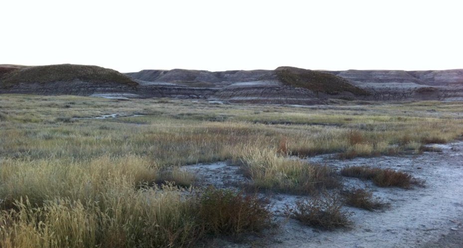 NW-02-029-20W4M NW Other, Drumheller, Alberta T0J 0Y0, ,Land,For Sale,NW,A2262832