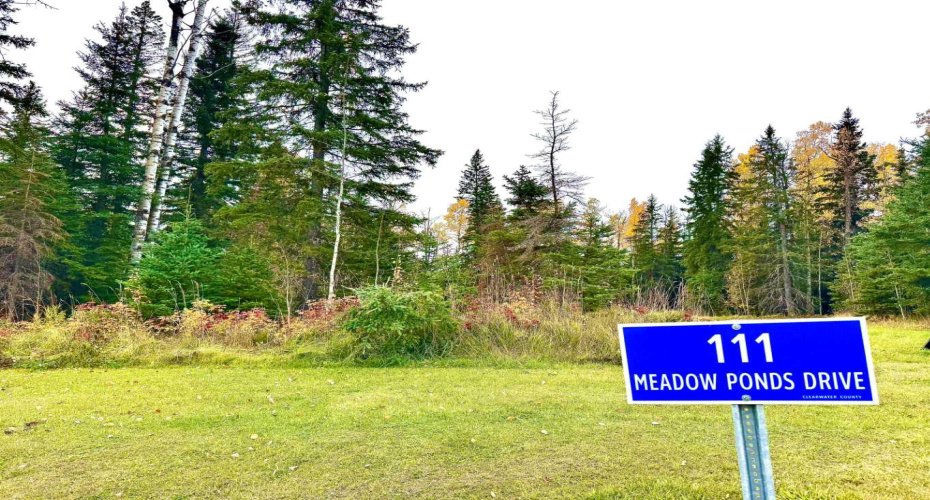 111 Meadow Ponds Drive, Rural Clearwater County, Alberta T4T 1A7, ,Land,For Sale,Meadow Ponds,A2264695