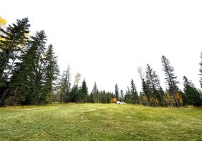 111 Meadow Ponds Drive, Rural Clearwater County, Alberta T4T 1A7, ,Land,For Sale,Meadow Ponds,A2264695