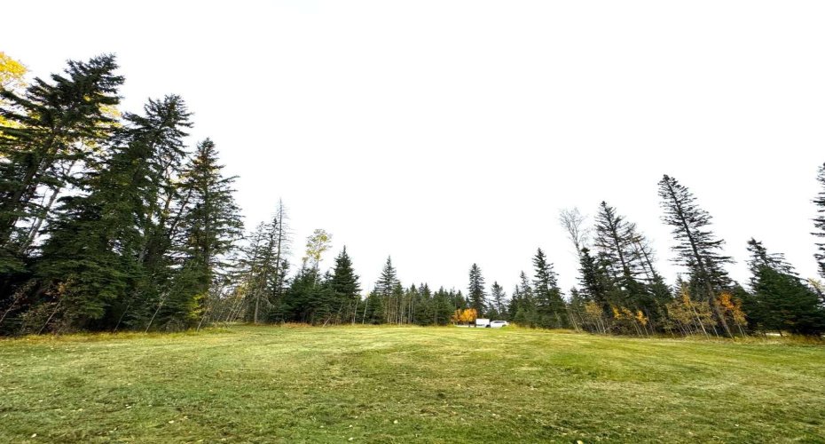 111 Meadow Ponds Drive, Rural Clearwater County, Alberta T4T 1A7, ,Land,For Sale,Meadow Ponds,A2264695
