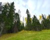 111 Meadow Ponds Drive, Rural Clearwater County, Alberta T4T 1A7, ,Land,For Sale,Meadow Ponds,A2264695