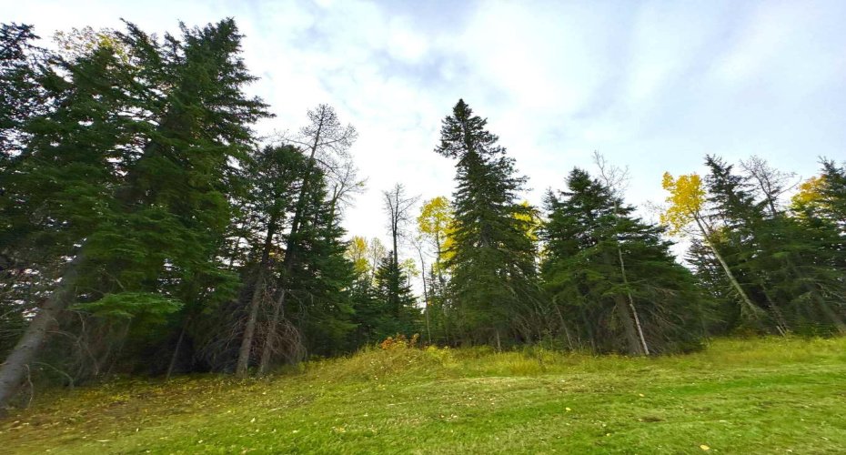 111 Meadow Ponds Drive, Rural Clearwater County, Alberta T4T 1A7, ,Land,For Sale,Meadow Ponds,A2264695