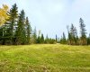 111 Meadow Ponds Drive, Rural Clearwater County, Alberta T4T 1A7, ,Land,For Sale,Meadow Ponds,A2264695