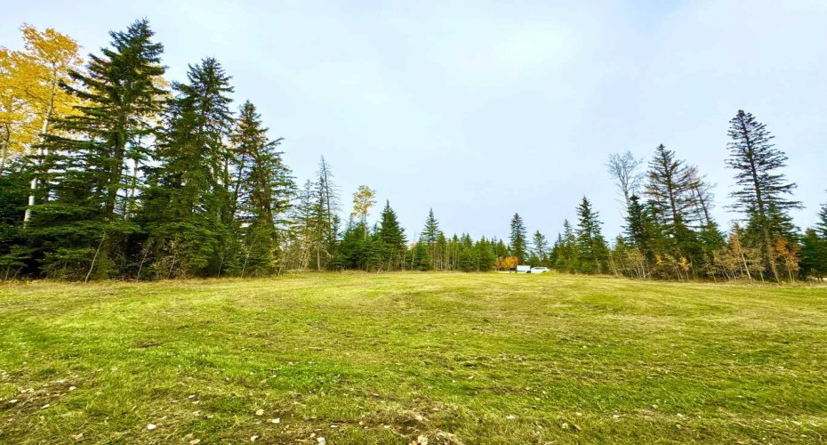 111 Meadow Ponds Drive, Rural Clearwater County, Alberta T4T 1A7, ,Land,For Sale,Meadow Ponds,A2264695