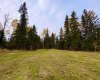 111 Meadow Ponds Drive, Rural Clearwater County, Alberta T4T 1A7, ,Land,For Sale,Meadow Ponds,A2264695