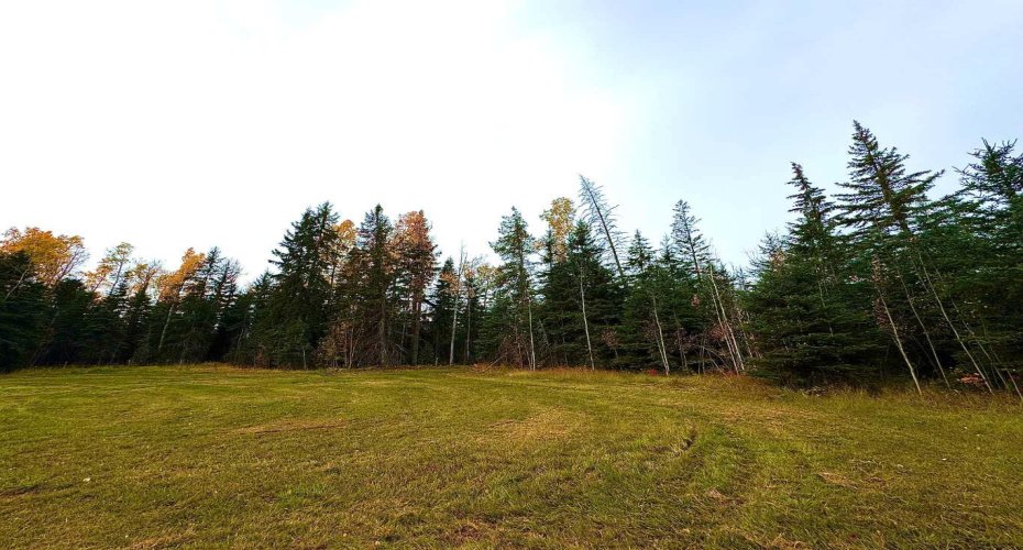 111 Meadow Ponds Drive, Rural Clearwater County, Alberta T4T 1A7, ,Land,For Sale,Meadow Ponds,A2264695