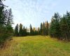 111 Meadow Ponds Drive, Rural Clearwater County, Alberta T4T 1A7, ,Land,For Sale,Meadow Ponds,A2264695