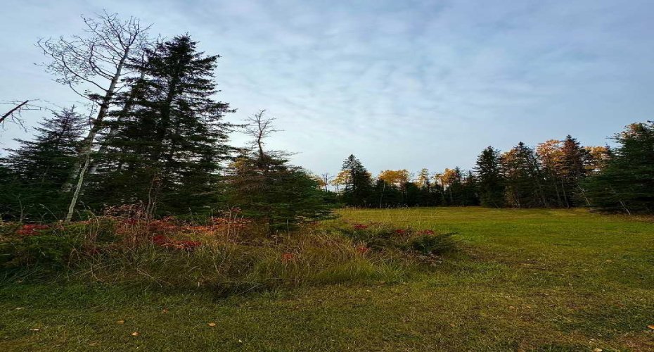 111 Meadow Ponds Drive, Rural Clearwater County, Alberta T4T 1A7, ,Land,For Sale,Meadow Ponds,A2264695