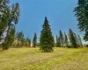309 Valley View Drive, Rural Clearwater County, Alberta T4T 1A7, ,Land,For Sale,Valley View,A2264698