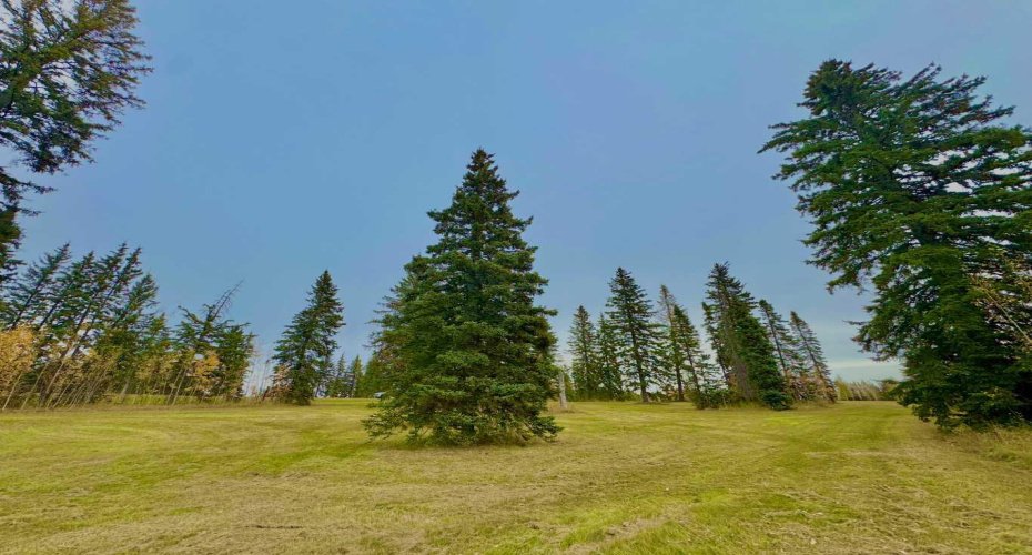 309 Valley View Drive, Rural Clearwater County, Alberta T4T 1A7, ,Land,For Sale,Valley View,A2264698
