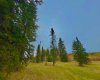 309 Valley View Drive, Rural Clearwater County, Alberta T4T 1A7, ,Land,For Sale,Valley View,A2264698
