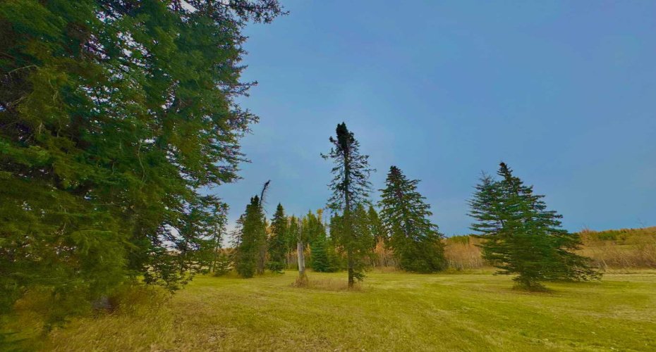 309 Valley View Drive, Rural Clearwater County, Alberta T4T 1A7, ,Land,For Sale,Valley View,A2264698