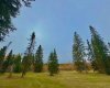 309 Valley View Drive, Rural Clearwater County, Alberta T4T 1A7, ,Land,For Sale,Valley View,A2264698