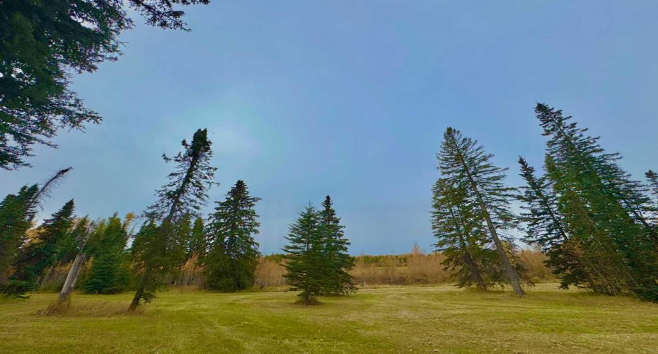 309 Valley View Drive, Rural Clearwater County, Alberta T4T 1A7, ,Land,For Sale,Valley View,A2264698