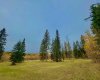309 Valley View Drive, Rural Clearwater County, Alberta T4T 1A7, ,Land,For Sale,Valley View,A2264698