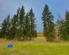 309 Valley View Drive, Rural Clearwater County, Alberta T4T 1A7, ,Land,For Sale,Valley View,A2264698