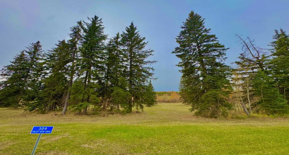 309 Valley View Drive, Rural Clearwater County, Alberta T4T 1A7, ,Land,For Sale,Valley View,A2264698