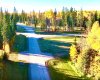 201 High Timber Place, Rural Clearwater County, Alberta T4T 1A7, ,Land,For Sale,High Timber,A2264701