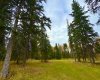201 High Timber Place, Rural Clearwater County, Alberta T4T 1A7, ,Land,For Sale,High Timber,A2264701