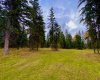 201 High Timber Place, Rural Clearwater County, Alberta T4T 1A7, ,Land,For Sale,High Timber,A2264701