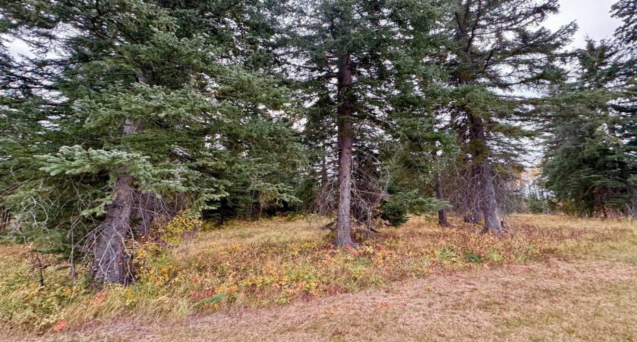 201 High Timber Place, Rural Clearwater County, Alberta T4T 1A7, ,Land,For Sale,High Timber,A2264701