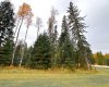 201 High Timber Place, Rural Clearwater County, Alberta T4T 1A7, ,Land,For Sale,High Timber,A2264701