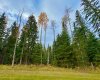 201 High Timber Place, Rural Clearwater County, Alberta T4T 1A7, ,Land,For Sale,High Timber,A2264701
