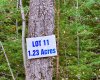 201 High Timber Place, Rural Clearwater County, Alberta T4T 1A7, ,Land,For Sale,High Timber,A2264701