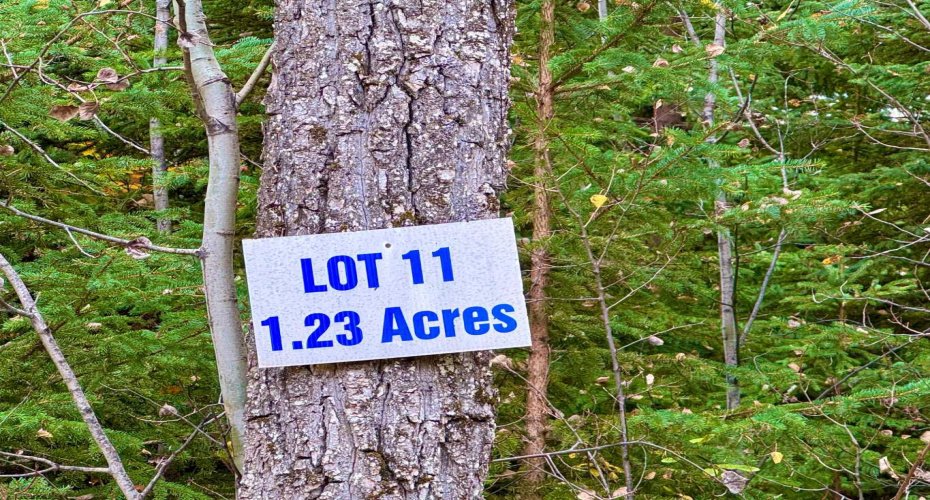 201 High Timber Place, Rural Clearwater County, Alberta T4T 1A7, ,Land,For Sale,High Timber,A2264701