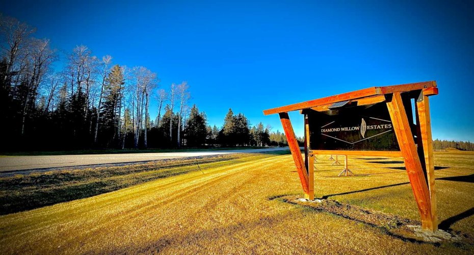 201 High Timber Place, Rural Clearwater County, Alberta T4T 1A7, ,Land,For Sale,High Timber,A2264701