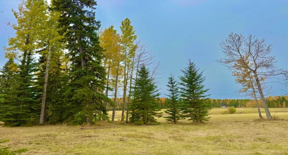 409 Valley View Close, Rural Clearwater County, Alberta T4T 1A7, ,Land,For Sale,Valley View,A2264703