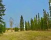 409 Valley View Close, Rural Clearwater County, Alberta T4T 1A7, ,Land,For Sale,Valley View,A2264703