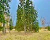 409 Valley View Close, Rural Clearwater County, Alberta T4T 1A7, ,Land,For Sale,Valley View,A2264703
