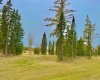 409 Valley View Close, Rural Clearwater County, Alberta T4T 1A7, ,Land,For Sale,Valley View,A2264703