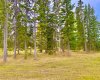 409 Valley View Close, Rural Clearwater County, Alberta T4T 1A7, ,Land,For Sale,Valley View,A2264703