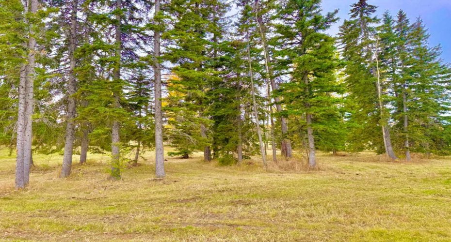 409 Valley View Close, Rural Clearwater County, Alberta T4T 1A7, ,Land,For Sale,Valley View,A2264703