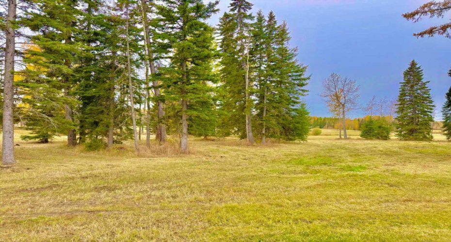 409 Valley View Close, Rural Clearwater County, Alberta T4T 1A7, ,Land,For Sale,Valley View,A2264703