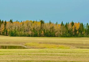 409 Valley View Close, Rural Clearwater County, Alberta T4T 1A7, ,Land,For Sale,Valley View,A2264703