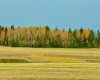 409 Valley View Close, Rural Clearwater County, Alberta T4T 1A7, ,Land,For Sale,Valley View,A2264703