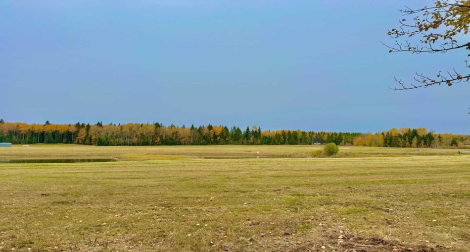 409 Valley View Close, Rural Clearwater County, Alberta T4T 1A7, ,Land,For Sale,Valley View,A2264703
