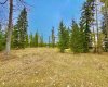409 Valley View Close, Rural Clearwater County, Alberta T4T 1A7, ,Land,For Sale,Valley View,A2264703