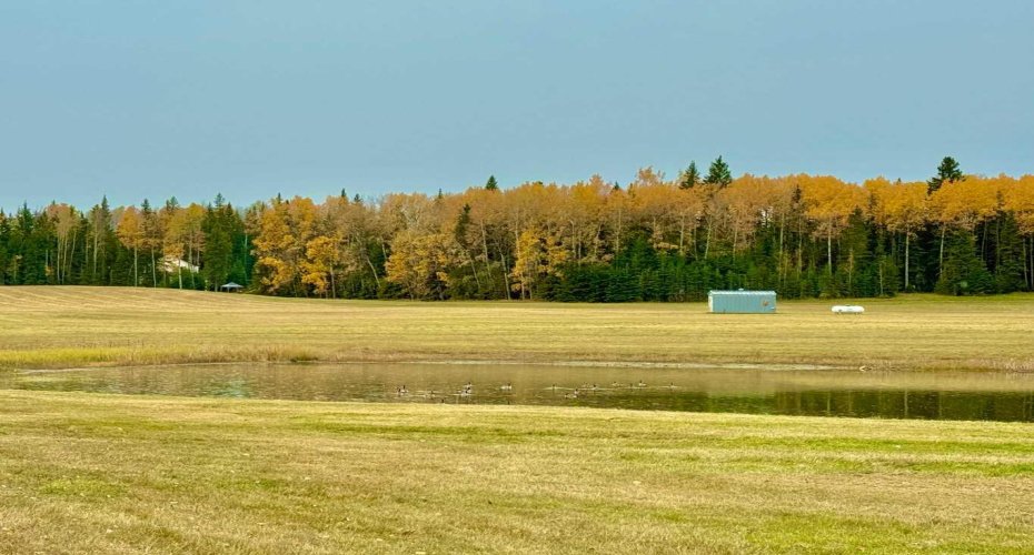 409 Valley View Close, Rural Clearwater County, Alberta T4T 1A7, ,Land,For Sale,Valley View,A2264703