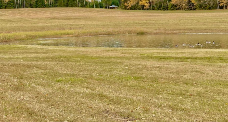 409 Valley View Close, Rural Clearwater County, Alberta T4T 1A7, ,Land,For Sale,Valley View,A2264703