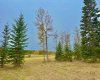 409 Valley View Close, Rural Clearwater County, Alberta T4T 1A7, ,Land,For Sale,Valley View,A2264703
